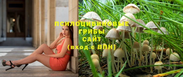 mdma Карпинск